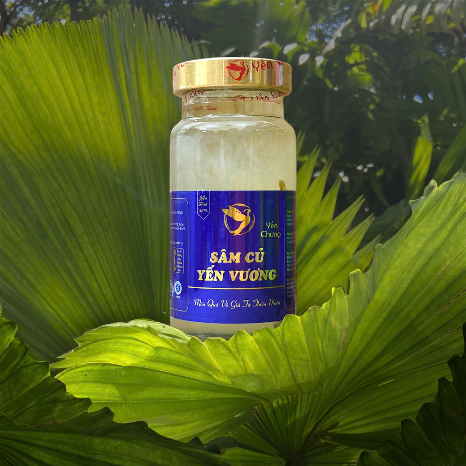 Hũ yến Vương 140ml Sâm Củ